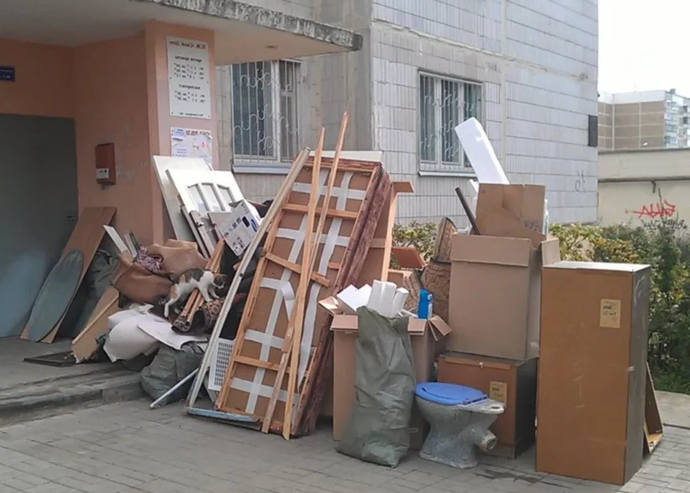 Профессиональный вывоз мусора из квартиры в Михайловке в октябре