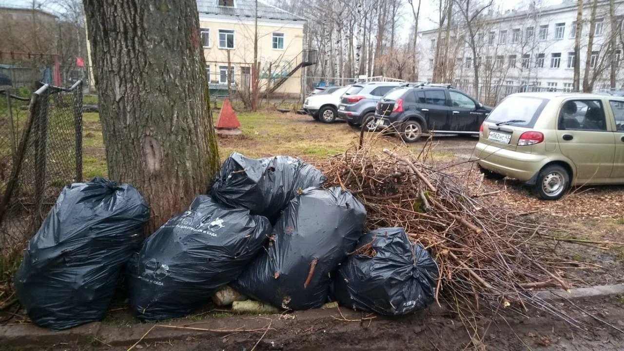 Вывоз мусора после субботника в Михайловке от ПроМусор – уборка и утилизация отходов от 2389 руб