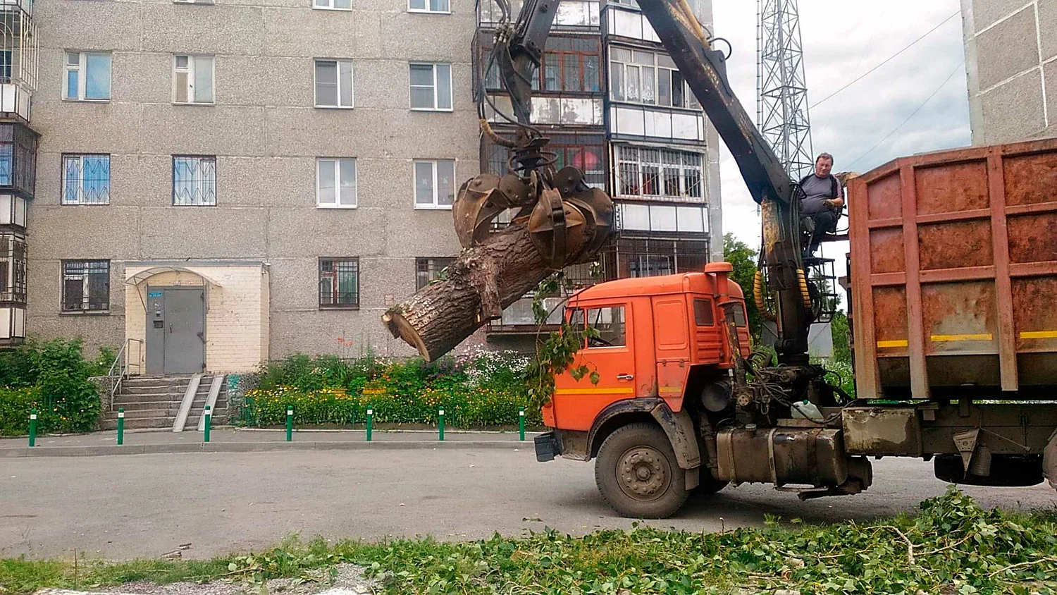 Вывоз спиленных веток и деревьев в Михайловке от ПроМусор: порубочные остатки, утилизация, цена от 2948 руб