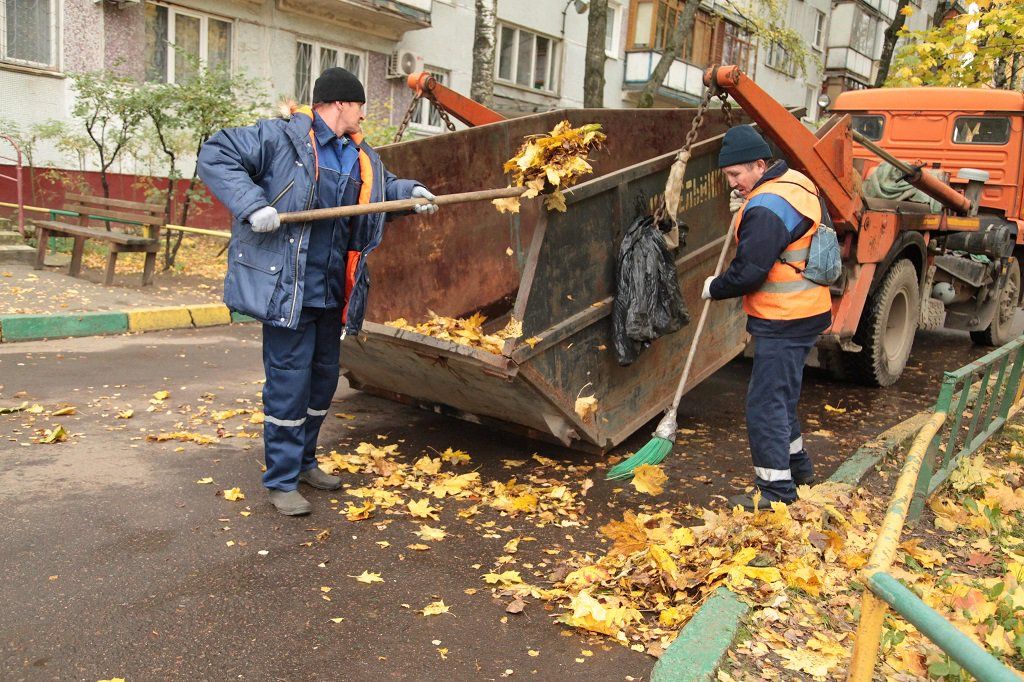 Вывоз опавшей листвы и растительного мусора в Михайловке от ПроМусор – цена от 4575 руб., быстрая уборка и утилизация